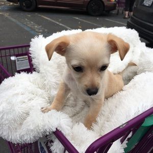 Meet your Posher, Jennifer